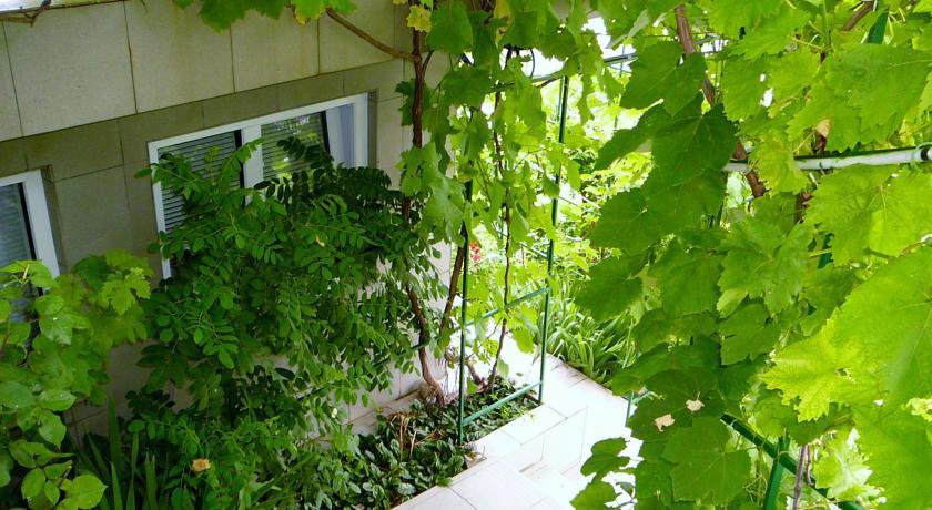Гостиница Guest House Lenina 35 Алупка-6