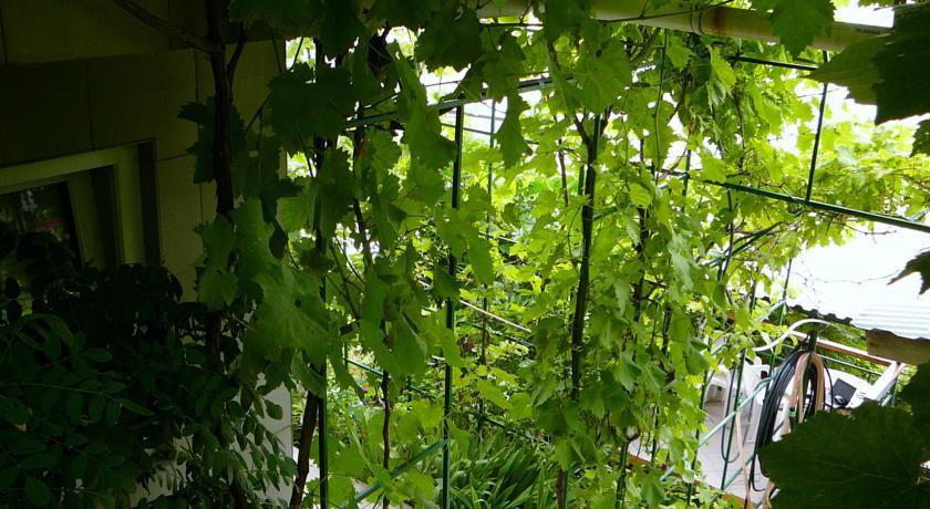 Гостиница Guest House Lenina 35 Алупка