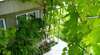Гостиница Guest House Lenina 35 Алупка-2