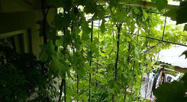Гостиница Guest House Lenina 35 Алупка-35