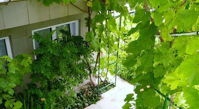 Гостиница Guest House Lenina 35 Алупка-5